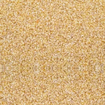 Barley Dalia - Grains & Flours - NPOP - Jaipur