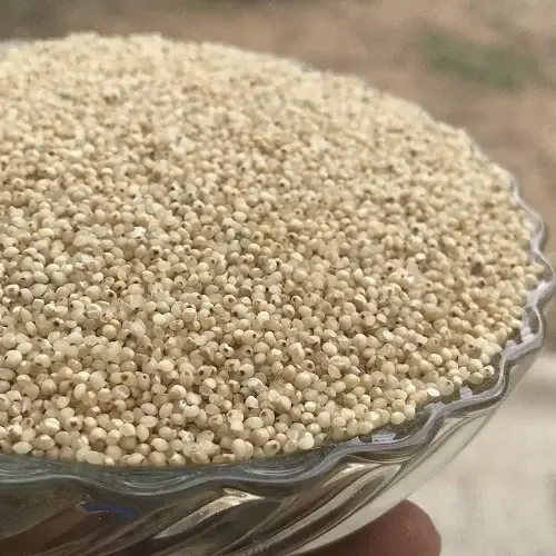 Shamul/Barnyard Millet  - Grains & Flours  - NPOP - Sri Ganganagar