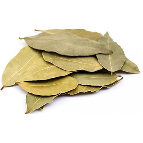 Bay Leaf  - Spices - NPOP - Jaipur
