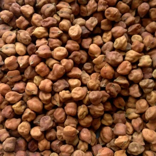 Channa Whole/Bengal Gram Whole - Pulses - NPOP - Beed