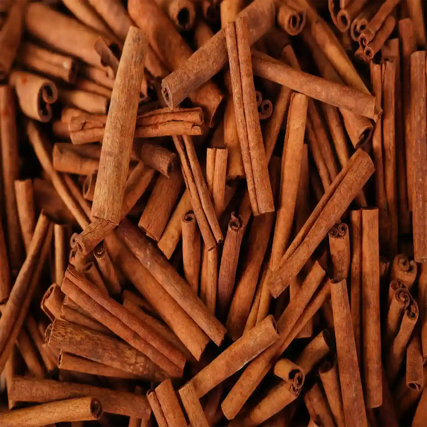 Dalchini/Cinnamon Stick - Spices - NPOP - Sri Ganganagar