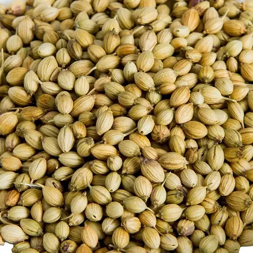 Dhania/Coriander Seeds - Scooter - Spices - NPOP - Kota