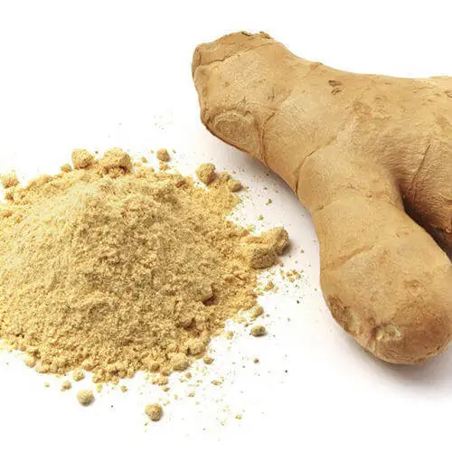 Ginger Powder - Spices - Natural - Jaipur