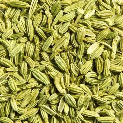 Fennel/Sauf Seeds  - Spices - NPOP - Jaipur