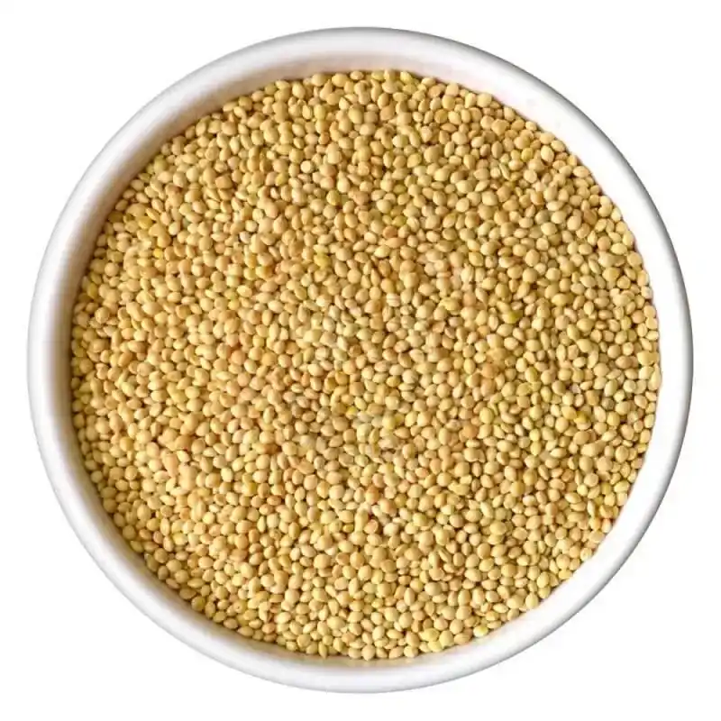 Rala/Kangni/Foxtail Millet - Grains & Flours - NPOP - Pune