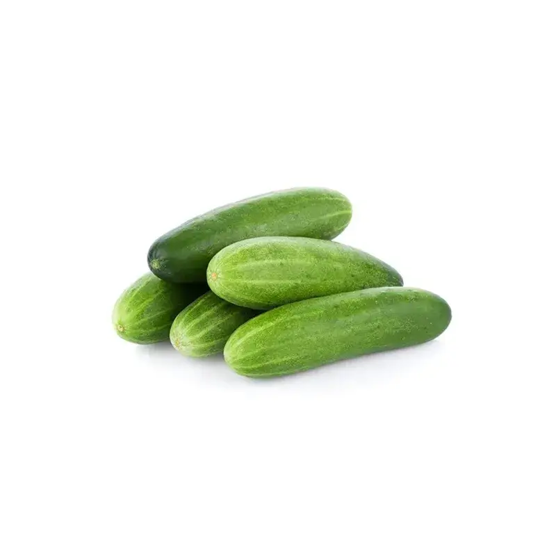Green cucumber - Vegetables - PGS - Pune
