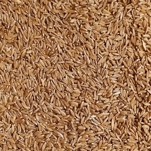 Wheat Khapli - Grains & Flours - NPOP - Kota