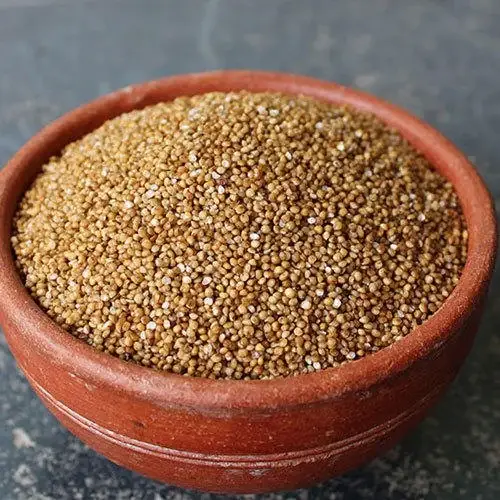 Kodra/Kodo Millet - Grains & Flours - NPOP - Pune