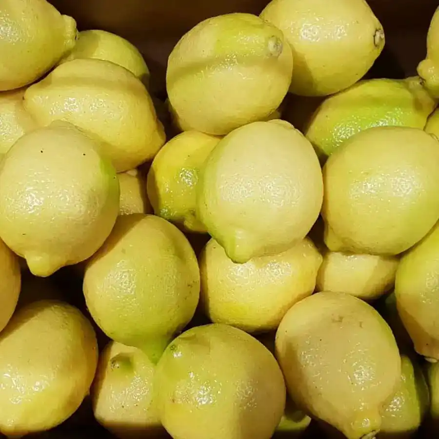 Lemon - Vegetables - PGS - Pune
