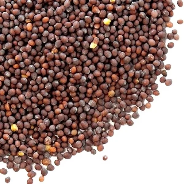 Rai/Black Mustard (Big) - Spices - NPOP - Pune