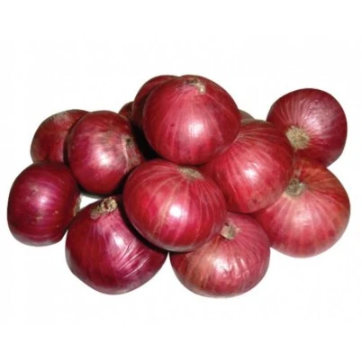 Onion - Vegetables - PGS - Pune