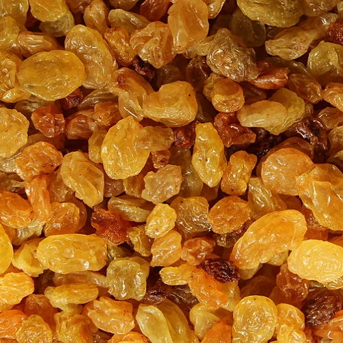 Raisins/Manuka - Super Foods - NPOP - Sri Ganganagar