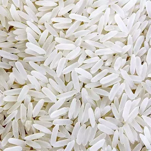 Sona Masuri Rice White - Grains & Flours - NPOP - Pune