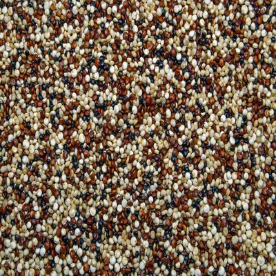 Tri Quinoa (White, Red & Black Quinoa) - Super Foods - NPOP - Jaipur