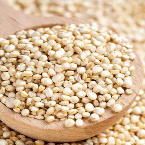 White Quinoa  - Super Foods - NPOP - Jaipur