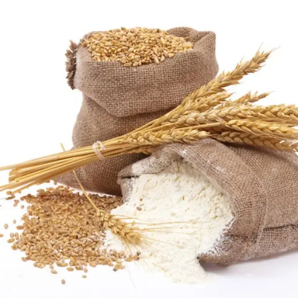 Wheat Flour Sharbati - Grains & Flours - NPOP - Pune